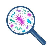 Different bacteria, pathogenic microorganisms under a magnifying glass. Bacteria and germ, microorganisms disease-causing, bacteria, bacteria, viruses, fungi, protozoa, probiotic. Vector illustration.