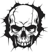 Eyes in the Shadows The Hidden Skull in Vector Design Mystical Wall Unveiling The Enigmatic Vector Skull