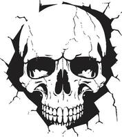 Mystical Unveiling The Enigmatic Cracked Walls Skull Unlocking the Enigma A Vector Skull Icon Revealed