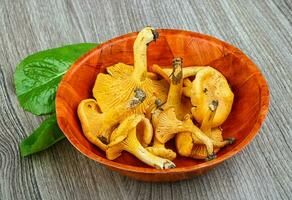 Chanterelle over wooden photo