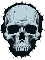 Intriguing Wall Design Unveiling the Hidden Skull Cracked Wall Mystery The Enigmatic Skull Emblem vector