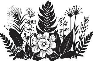 Exquisito isla Arte floral diseño en negro vector botánico paraíso negro logo con tropical florales