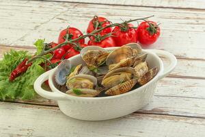 Vongole shellfish mollusc clem with butter photo