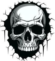Revealing the Veiled A Cryptic Skull Peeks from the Wall Unearthed Secrets The Enigmatic Vector Skull Icon