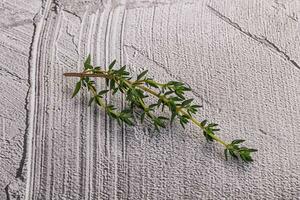 Aroma seasoning thyme stem with leaves photo