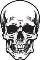 Gothic Aura The Mystical Skull Design Enigmatic Enchantment A Dark Vector Skull