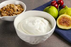 Traditional homemade Greek yoghurt with granola photo