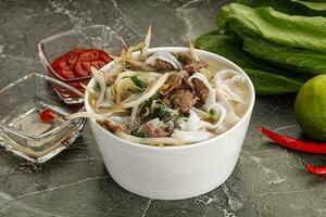 Vietnamese soup Pho Bo with beef photo