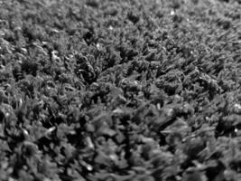 Black and white grass background close view, grayscale grass photo