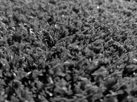 Black and white grass background close view, grayscale grass photo