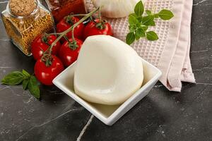 Italian cheese mozzarella buffalo ball photo