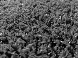 Black and white grass background close view, grayscale grass photo