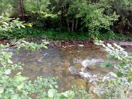 Mountain river in the woods photo