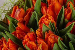 Orange tulips bouquet photo