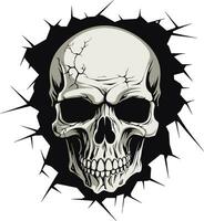 Unlocking the Enigma A Vector Skull Icon Revealed A Journey through Shadows The Emergence of the Skull