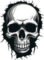 Mystical Gaze The Eerie Wall Skull Symbol Intriguing Wall Design The Hidden Skulls Return vector