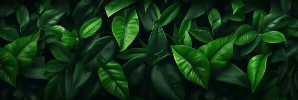 Lush green leaves background, Tropical foliage in nature. AI Generative photo