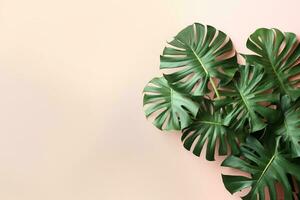 Green Foliage with copyspace, Lush Monstera Leaves on a Delicate Pastel Background. AI Generative photo