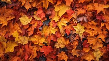 parte superior ver de rojo, naranja, y amarillo hojas fondo, caído hojas en otoño. ai generativo foto