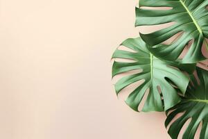 Green Foliage with copyspace, Lush Monstera Leaves on a Delicate Pastel Background. AI Generative photo