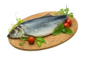 Marinated herring with herbs photo