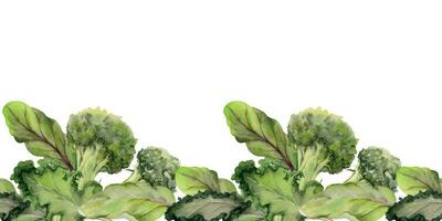 Hand drawn watercolor vegetables and green salad mix for diet, healthy lifestyle, vegan cooking. Illustration seamless border isolated on white background. Design poster, print, website, card, menu vector