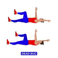 Vector Man Doing Dead Bug. Bodyweight Fitness Core Workout Exercise. An Educational Illustration On A White Background.