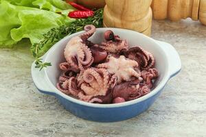 Marinated baby octopus seafood in the bowl photo