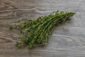 Fresh green Thyme branch heap photo