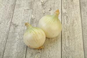 White ripe sweet onion vegetable photo