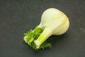 Organic vegan food - fennel root photo