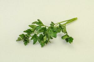 Green fresh parsley branch herb photo