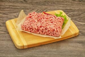 Minced meat - pork and beef photo