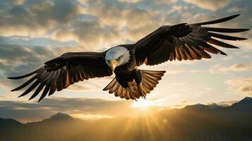 un calvo águila volador ai generado foto