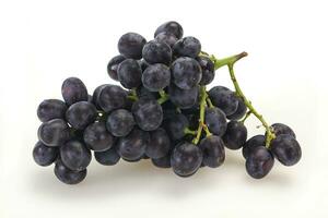 Fresh ripe sweet red grape photo