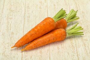 Three Young fresh ripe carrot photo