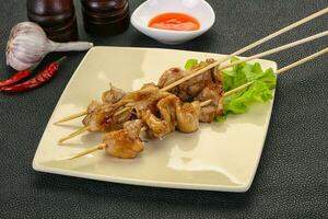 Chicken skin skewer photo