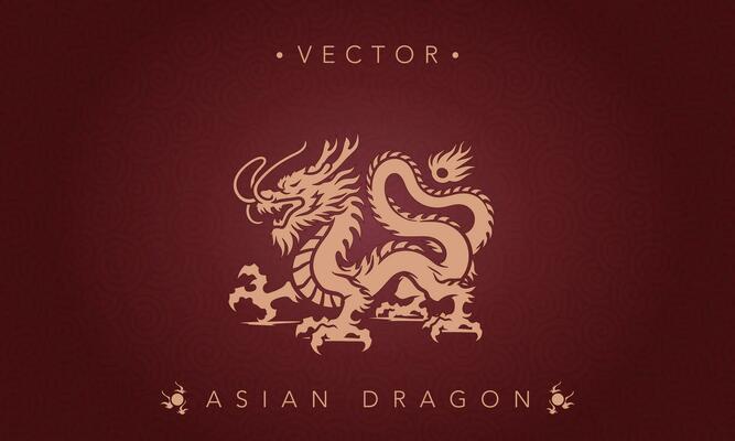 Asian traditional dragon pattern ancient Chinese dragon