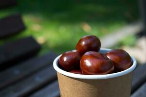 chestnuts in a paper cup on shiny autumn morning,fresh brown buckeye,ingredient for using in folk medicine,symbol of ukrainian capital Kyiv photo