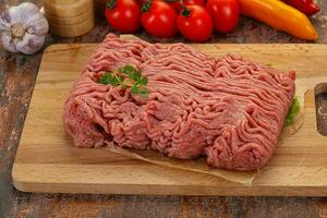 Raw turkey minced meat photo