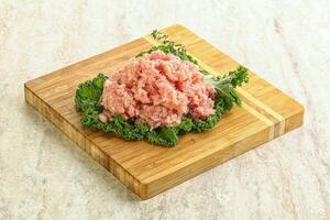 Raw pork minced meat for cooking photo