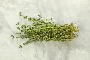 Fresh aroma green herb Thyme seasoning photo