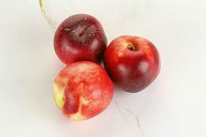 Ripe sweet juicy nectarines heap photo