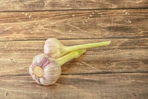 Two Young garlic over background photo