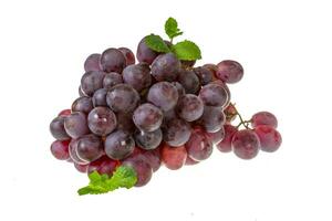 Ripe grape isolated on white photo