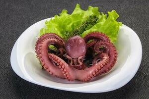 Boiled octopus with herbs photo