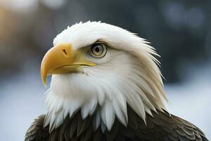 AI Generative of Bald eagle is under the endangered species photo