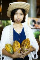 Raw Cocoa fruit pod in Farmer hands photo