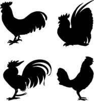 Rooster Silhouette Vector on white background