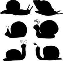 Snail Silhouette Vector on white background
